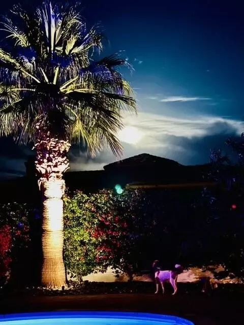 66 Victor Hugo Rd, Rancho Mirage, CA 92270