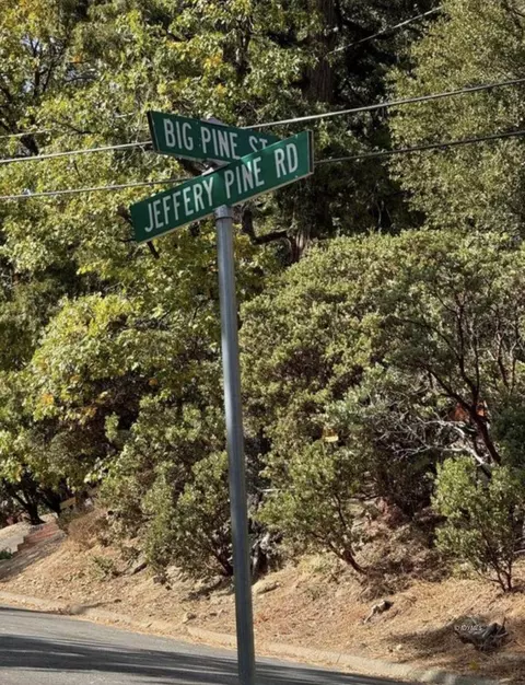 53642 Jeffrey Pine Ct, Idyllwild, CA 92549