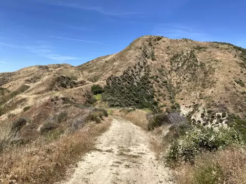 7003 Loma Verde Mountainway, Castaic, CA 91384