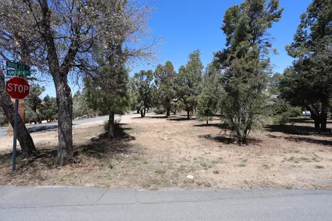 0 Dixie Lee, Sugarloaf, CA 92386 photo 2