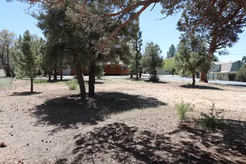 0 Dixie Lee, Sugarloaf, CA 92386 photo 6