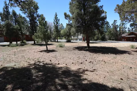 0 Dixie Lee, Sugarloaf, CA 92386 photo 5