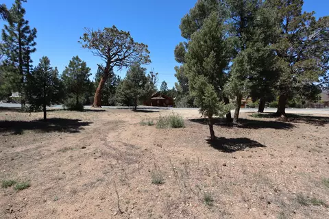 0 Dixie Lee, Sugarloaf, CA 92386 photo 4