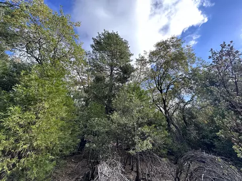 Undisclosed, Idyllwild, CA 92549 photo 4