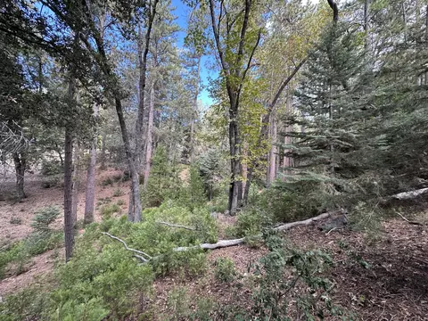 Undisclosed, Idyllwild, CA 92549 photo 6
