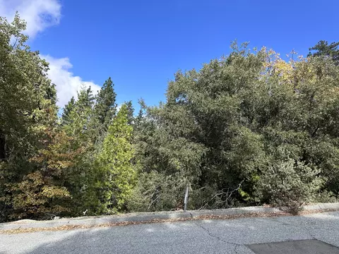 Undisclosed, Idyllwild, CA 92549