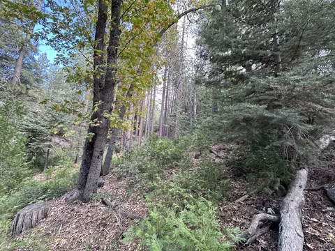Undisclosed, Idyllwild, CA 92549 photo 8