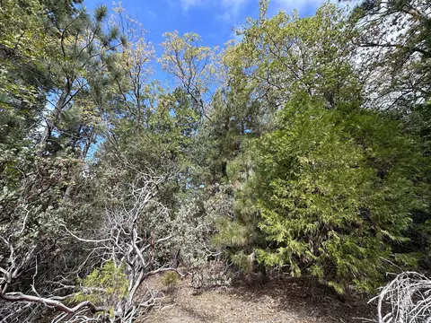 Undisclosed, Idyllwild, CA 92549 photo 5
