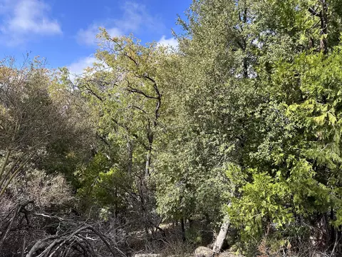 Undisclosed, Idyllwild, CA 92549 photo 2