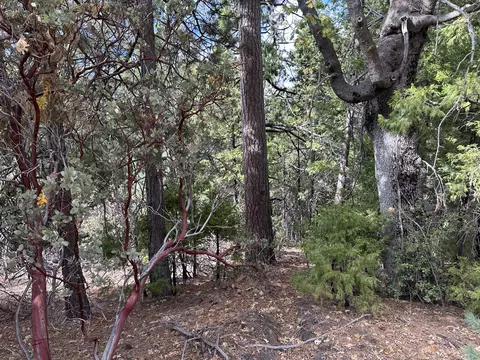 Undisclosed, Idyllwild, CA 92549 photo 3