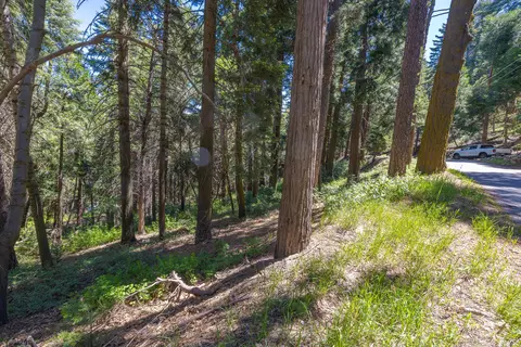 lot78 Cedar Pines Dr, Crestline, CA 92325 photo 4