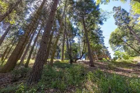 lot78 Cedar Pines Dr, Crestline, CA 92325 photo 7