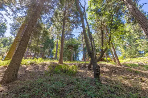 lot78 Cedar Pines Dr, Crestline, CA 92325 photo 5