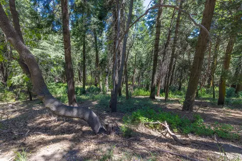 lot78 Cedar Pines Dr, Crestline, CA 92325 photo 2