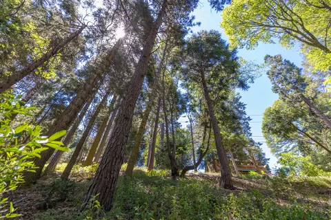 lot78 Cedar Pines Dr, Crestline, CA 92325 photo 8