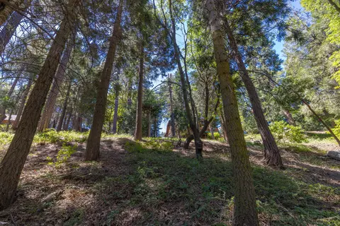 lot78 Cedar Pines Dr, Crestline, CA 92325 photo 6