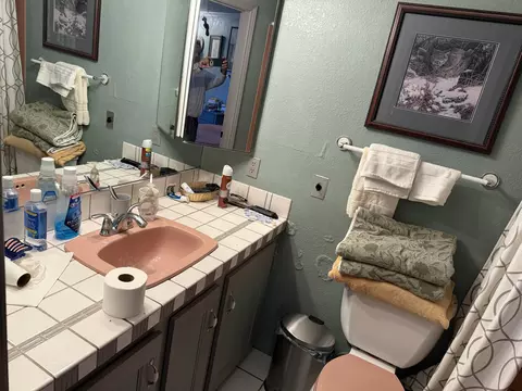 Bath - 49027 Hibiscus Dr, Morongo Valley, CA 92256 photo 4 of 4