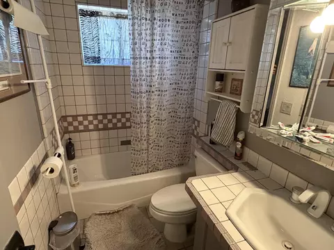 Bath - 49027 Hibiscus Dr, Morongo Valley, CA 92256 photo 3 of 4