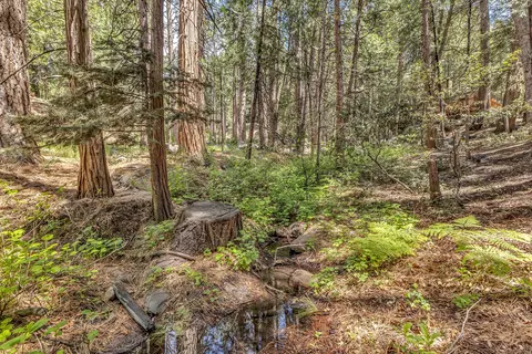 55170 Daryll Rd, Idyllwild, CA 92549 photo 5