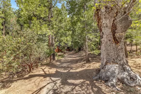 55170 Daryll Rd, Idyllwild, CA 92549