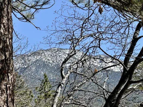 Other - 53226 Overlook Dr, Idyllwild, CA 92549 photo 9 of 11