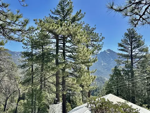 Exterior - 53226 Overlook Dr, Idyllwild, CA 92549 photo 8 of 15