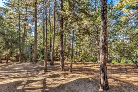 Exterior - 52402 Pine Ridge Rd, Idyllwild, CA 92549 photo 21 of 28