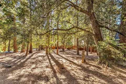 Exterior - 52402 Pine Ridge Rd, Idyllwild, CA 92549 photo 23 of 28