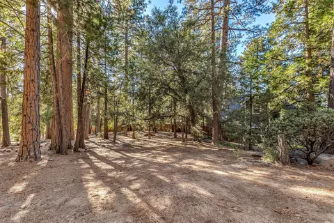 Exterior - 52402 Pine Ridge Rd, Idyllwild, CA 92549 photo 22 of 28