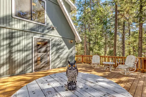 Exterior - 52402 Pine Ridge Rd, Idyllwild, CA 92549 photo 16 of 28