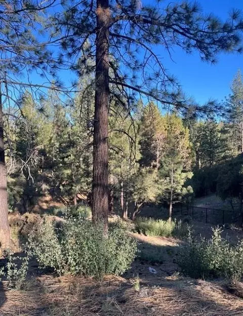 545 Division Dr, Big Bear City, CA 92314