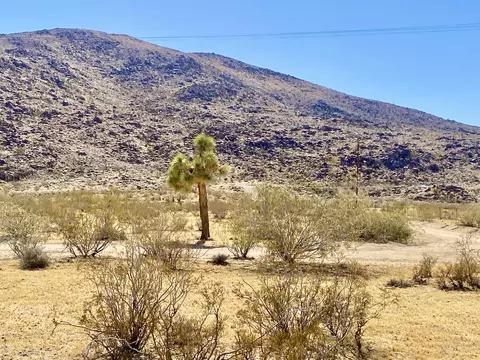 4225 Benji Ave, Joshua Tree, CA 92252