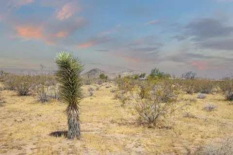 Other - 340 Cherokee Trl, Yucca Valley, CA 92284 photo 7 of 9