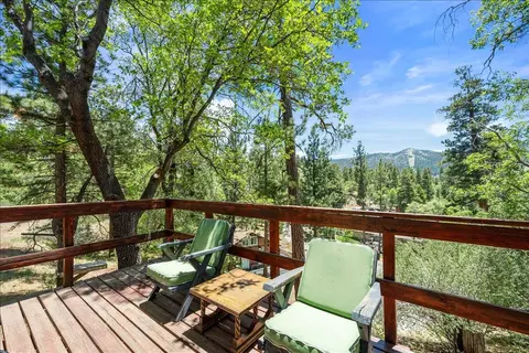 Exterior - 1011 Butte Ave, Big Bear City, CA 92314 photo 4 of 5