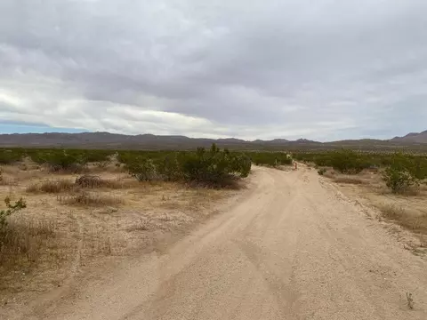19 Hwy 395, Other, CA 99999 photo 13