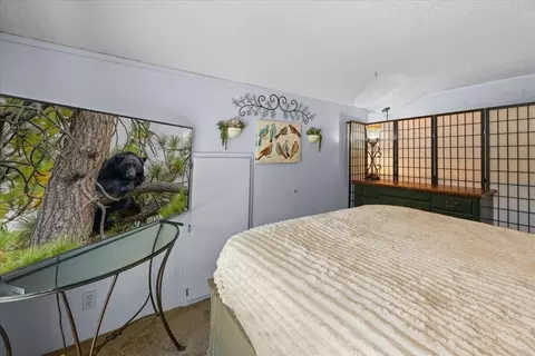 Bedroom - 819 Holmes Ln, Sugarloaf, CA 92386 photo 7 of 12