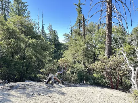 0 Mountain View Dr, Idyllwild, CA 92549 photo 12