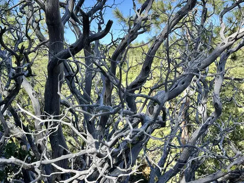 0 Mountain View Dr, Idyllwild, CA 92549 photo 9