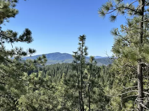 0 Mountain View Dr, Idyllwild, CA 92549 photo 6