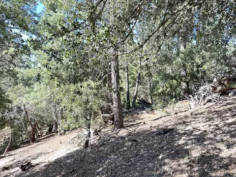0 Mountain View Dr, Idyllwild, CA 92549 photo 16