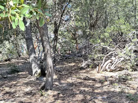 0 Mountain View Dr, Idyllwild, CA 92549 photo 18