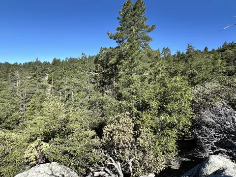 0 Mountain View Dr, Idyllwild, CA 92549 photo 4