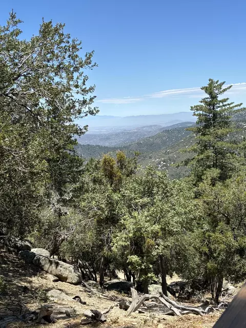 Other - 24930 Pine Cove Rd, Idyllwild, CA 92549 photo 5 of 9