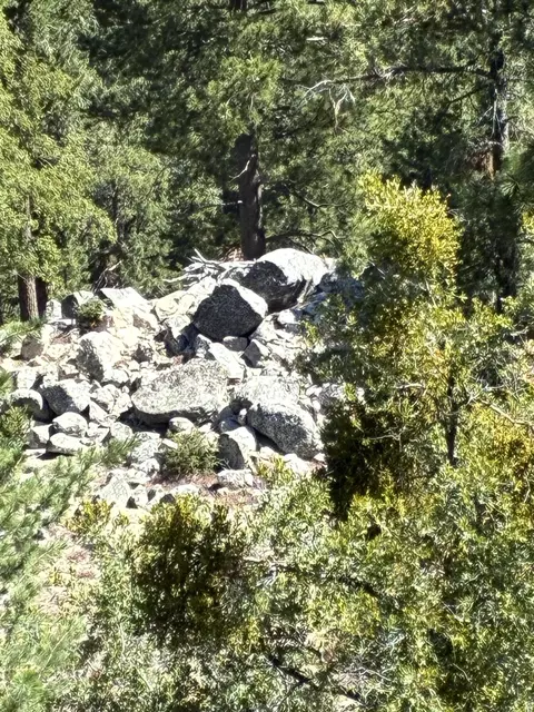Exterior - 24930 Pine Cove Rd, Idyllwild, CA 92549 photo 6 of 6
