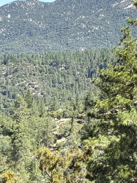Other - 24930 Pine Cove Rd, Idyllwild, CA 92549 photo 8 of 9