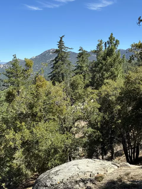 Other - 24930 Pine Cove Rd, Idyllwild, CA 92549 photo 6 of 12