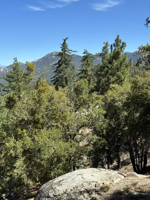 Other - 24930 Pine Cove Rd, Idyllwild, CA 92549 photo 7 of 9