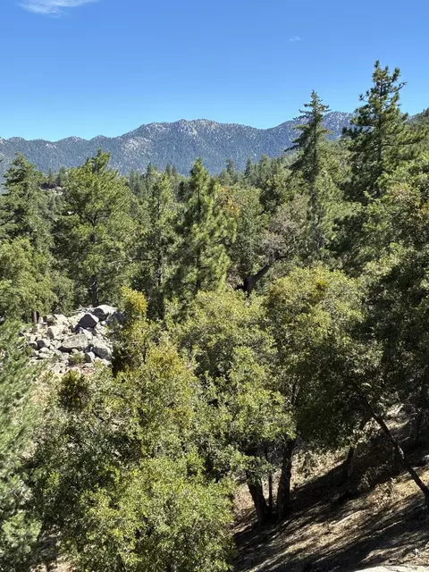 Other - 24930 Pine Cove Rd, Idyllwild, CA 92549 photo 6 of 9