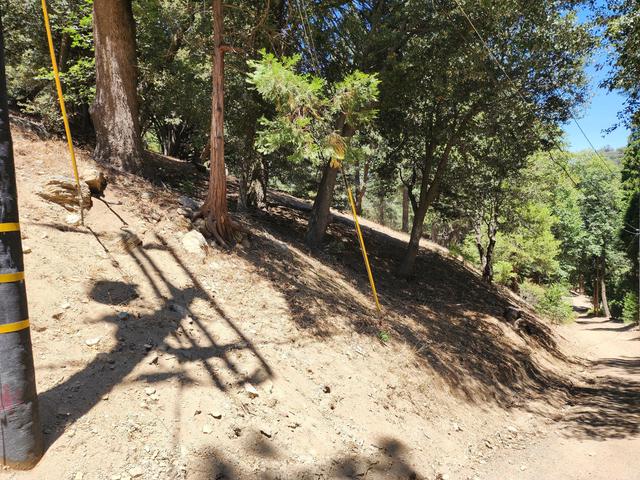 0 Burnt Mill Canyon Rd, Cedarpines Park, CA 92322