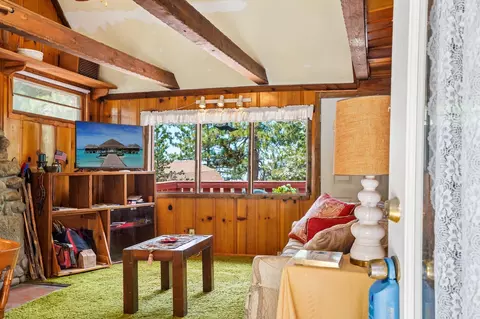 Living - 24765 Schaffer Dr, Idyllwild, CA 92549 photo 4 of 5